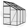 Greenhouse Anthracite Aluminum 134.2 ft³