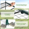 Garden Greenhouse Hot House Tomato Plant Warm House