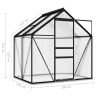 Greenhouse Anthracite Aluminum 26.6 ft²