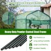 Garden Greenhouse Hot House Tomato Plant Warm House