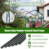 Garden Greenhouse Hot House Tomato Plant Warm House